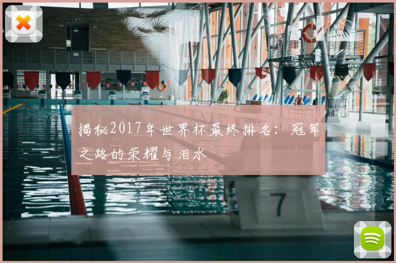揭秘2017年世界杯最终排名：冠军之路的荣耀与泪水