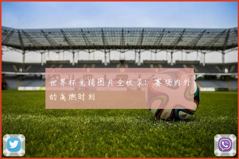 世界杯竞猜图片全收录：赛场内外的高燃时刻