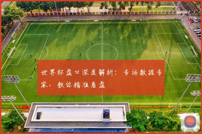 世界杯盘口深度解析:专访数据专家,教你精准看盘