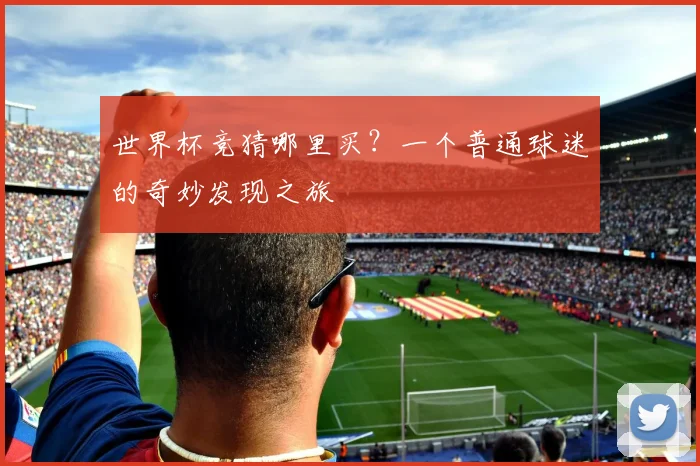 世界杯竞猜哪里买？一个普通球迷的奇妙发现之旅